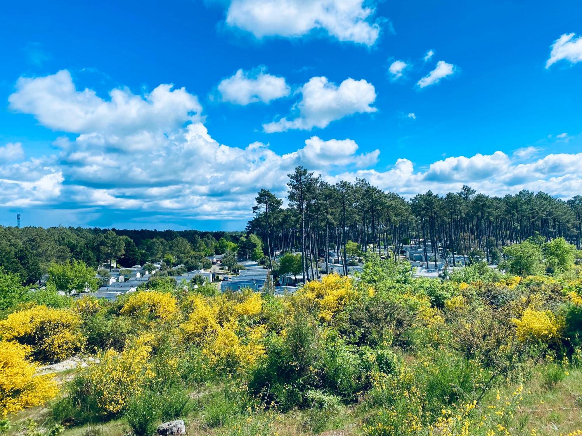 Mobile Home - Les Dunes De Contis Сен-Жульєн-ан-Борн Екстер'єр фото