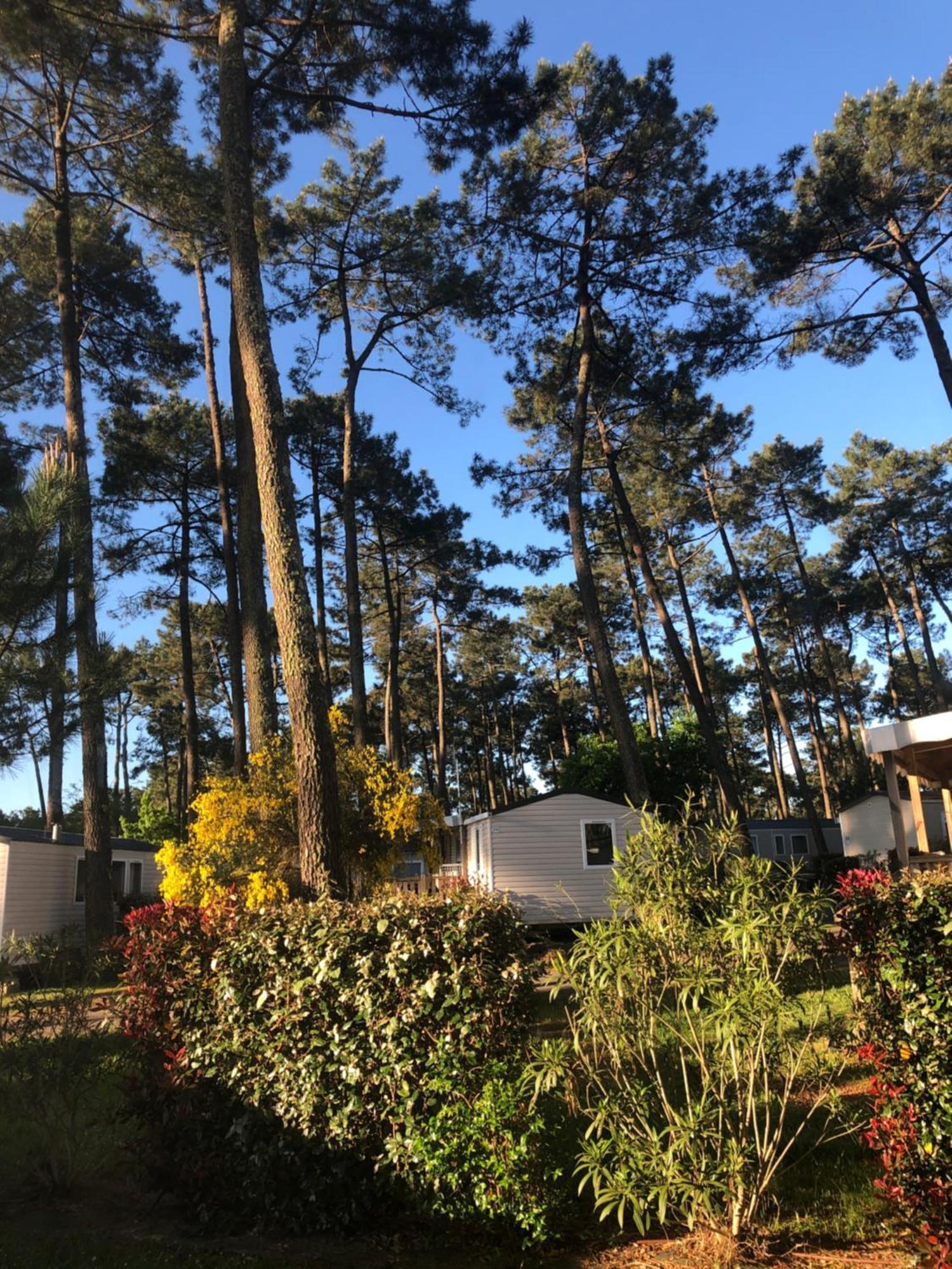 Mobile Home - Les Dunes De Contis Сен-Жульєн-ан-Борн Екстер'єр фото